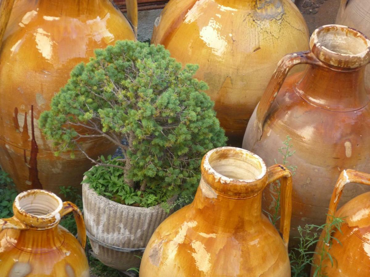 Il Fico D'India Dell'Antico Orto Villa Остуни Екстериор снимка